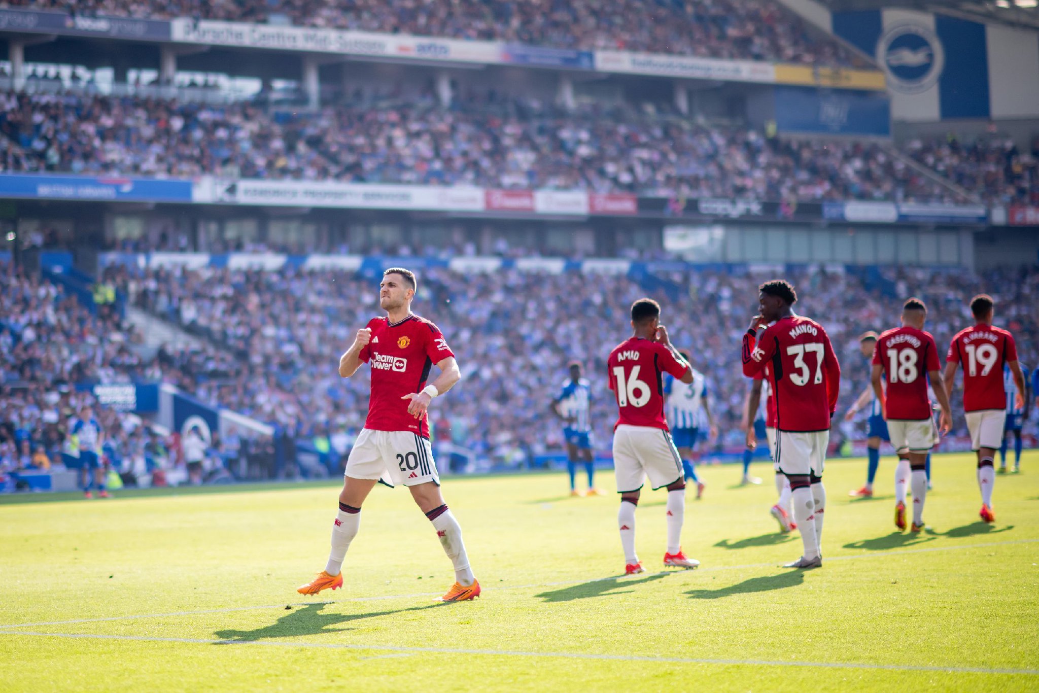 动不仅会影 动不仅会影